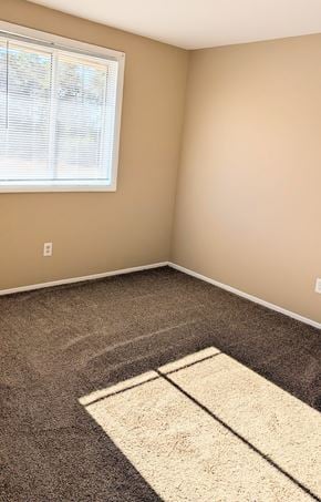 Roxboro apartment for rent - A room with a carpet and a rug in the middle.