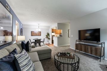 Fairfield apartment for rent - a living room with a couch and a tv