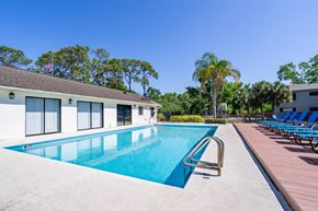 Clearwater apartment for rent - the swimming pool at the resort on longboat key