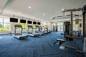Owings Mills townhouse for rent - a gym with weights and cardio equipment on a blue rug