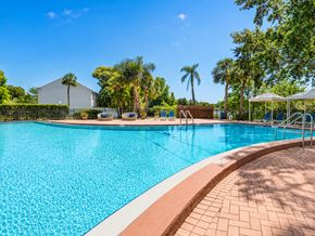 Tampa townhouse for rent - A large swimming pool surrounded by palm trees and a white gazebo.