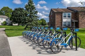 Novi apartment for rent - A row of blue bicycles are parked in front of a brick building.