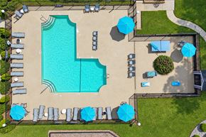 Aiken apartment for rent - A large swimming pool surrounded by blue umbrellas and lounge chairs.