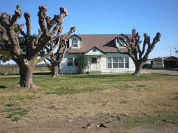 Patterson house for rent - a house with three trees in front of it