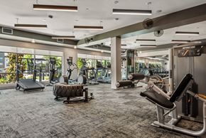 Houston apartment for rent - Gym 1