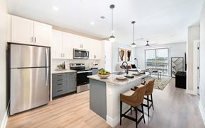 Houston apartment for rent - Kitchen and Living
