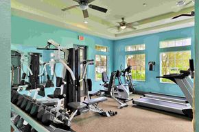 Port Orange apartment for rent - a gym with cardio equipment and weights in a room with blue walls and windows