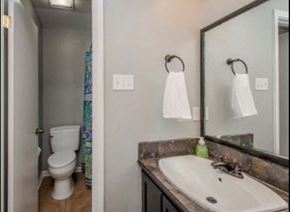 Baton Rouge apartment for rent - A bathroom with a toilet, sink, and mirror.