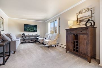 Downers Grove apartment for rent - A living room with a grey couch, a wooden cabinet, and a painting on the wall.