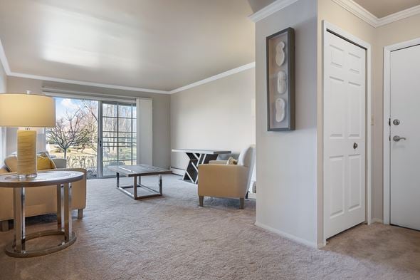 Downers Grove apartment for rent - A living room with a white door and a painting on the wall.
