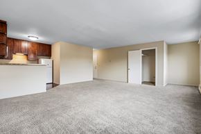 Lombard apartment for rent - A spacious empty room with carpeted floor and white walls.