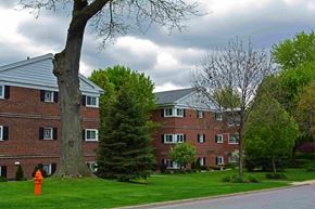 Naperville apartment for rent - A tree stands in front of a red brick building.