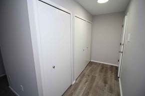 Royal Oak apartment for rent - a pair of white closets in a room with wood floors