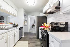 Tampa apartment for rent - Kitchen at Northgreen at Carrollwood Apartments in Tampa, FL