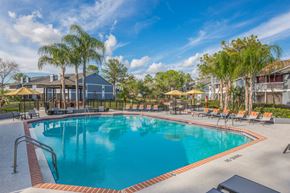 Tampa apartment for rent - Swimming Pool at Northgreen at Carrollwood Apartments in Tampa, FL