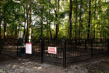 Dog park