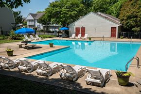Richmond apartment for rent - Resort style swimming pool with lounge chairs