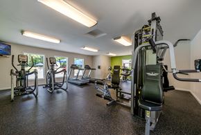 Virginia Beach apartment for rent - Gym at The Palms