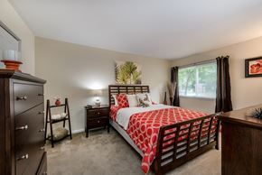 Virginia Beach apartment for rent - Master Bedroom