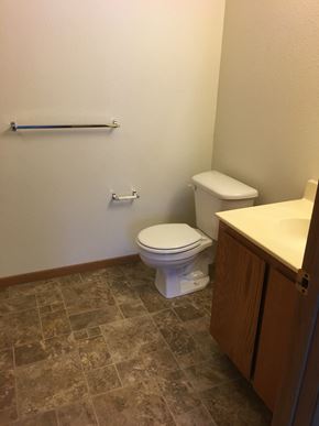 Morris townhouse for rent - a bathroom with a toilet and a sink
