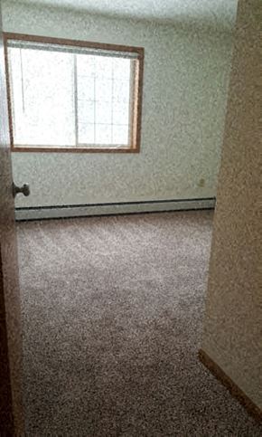 Mankato townhouse for rent - an empty room with a window and a carpeted floor
