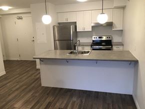 Tillsonburg apartment for rent - a kitchen with a counter top and a refrigerator