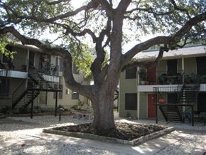 Austin apartment for rent - a tree in a courtyard in front of a building