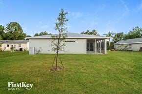Palm Bay house for rent - A tree stands in the middle of a grassy yard in front of a white house.