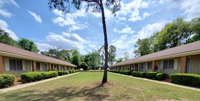 Albany apartment for rent - A tree stands in the middle of a grassy area between two rows of houses.