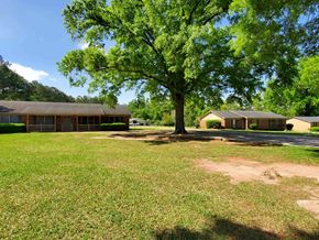 Leesburg apartment for rent - A large tree stands in the middle of a grassy area in front of a building.
