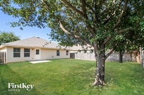 Haslet house for rent - A tree stands in a grassy yard in front of a house.