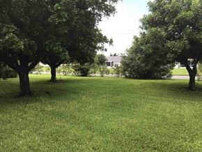Bradenton house for rent - a park with trees and a house in the background