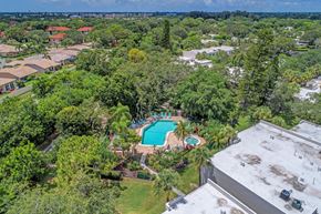 Bradenton house for rent - a birds eye view of a backyard with a pool and trees