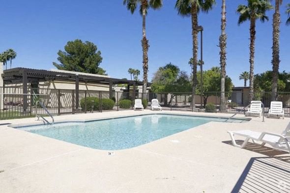 Scottsdale apartment for rent - a swimming pool with chairs and palm trees