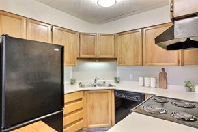 Regina apartment for rent - the preserve at ballantyne commons apartment kitchen with stove refrigerator and sink