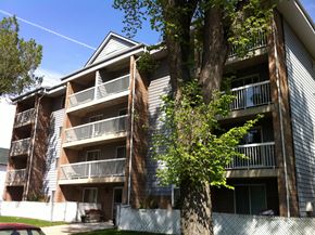 Regina apartment for rent - an apartment building with balconies and a tree in front