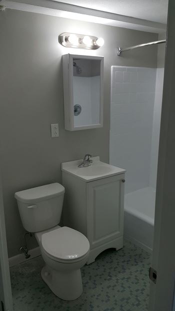 Taymil waterman square apartment homes bathroom
