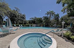 Bradenton house for rent - a swimming pool with chairs and a spa and trees