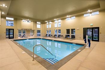 Indoor salt water pool & spa