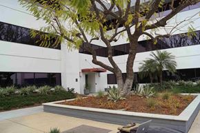 Brea apartment for rent - A tree in a landscaped area in front of a building.