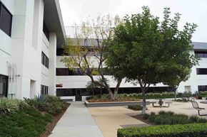 Brea apartment for rent - A white building with a tree in front of it.
