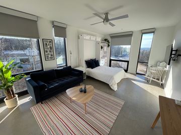Asheville apartment for rent - A living room with a black couch and a striped rug.