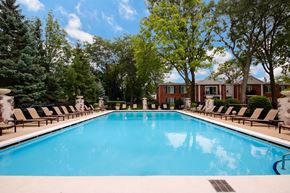Lisle apartment for rent - A large swimming pool surrounded by trees and lounge chairs.
