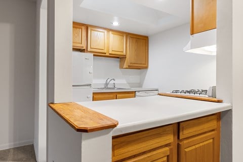 Floor plan for studio, 1 bath, 475 sqft