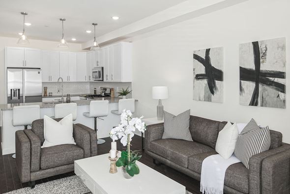 Philadelphia apartment for rent - a living room with couches and a coffee table