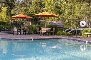 Napa apartment for rent - Pool with lounge chairs