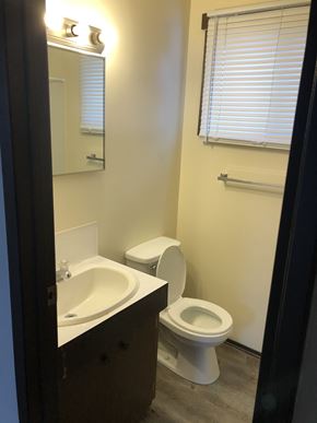 Prince Albert house for rent - a small bathroom with a toilet and a sink