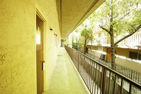 Berkeley apartment for rent - Balcony