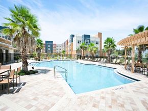 Holiday apartment for rent - the swimming pool at the apartments for rent