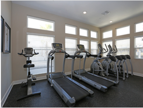 Holiday apartment for rent - the gym is equipped with state of the art cardio equipment